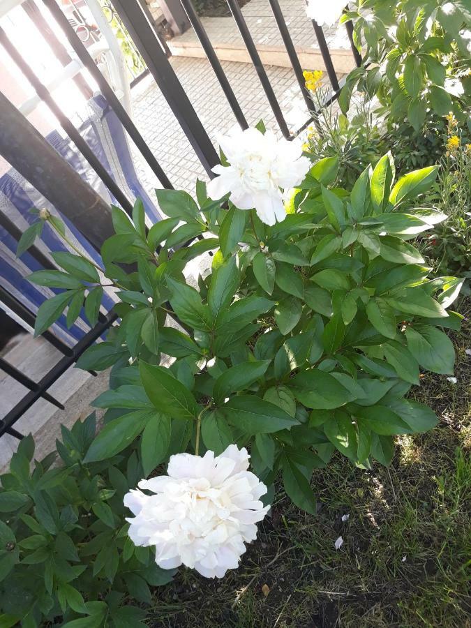 El Giardino Delle Rose..... Appartement Serre Di Rapolano Buitenkant foto